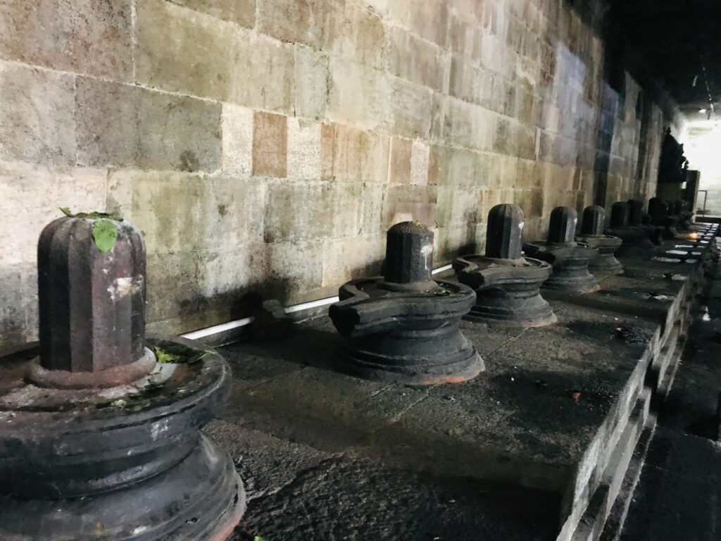 Ekambareswarar_lingam_Kanchipuram_Tamil_Nadu_-_lingam_row_2