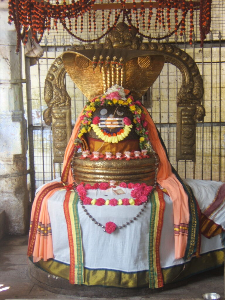 Siva_Lingam_at_Jambukesvara_temple_in_Srirangam